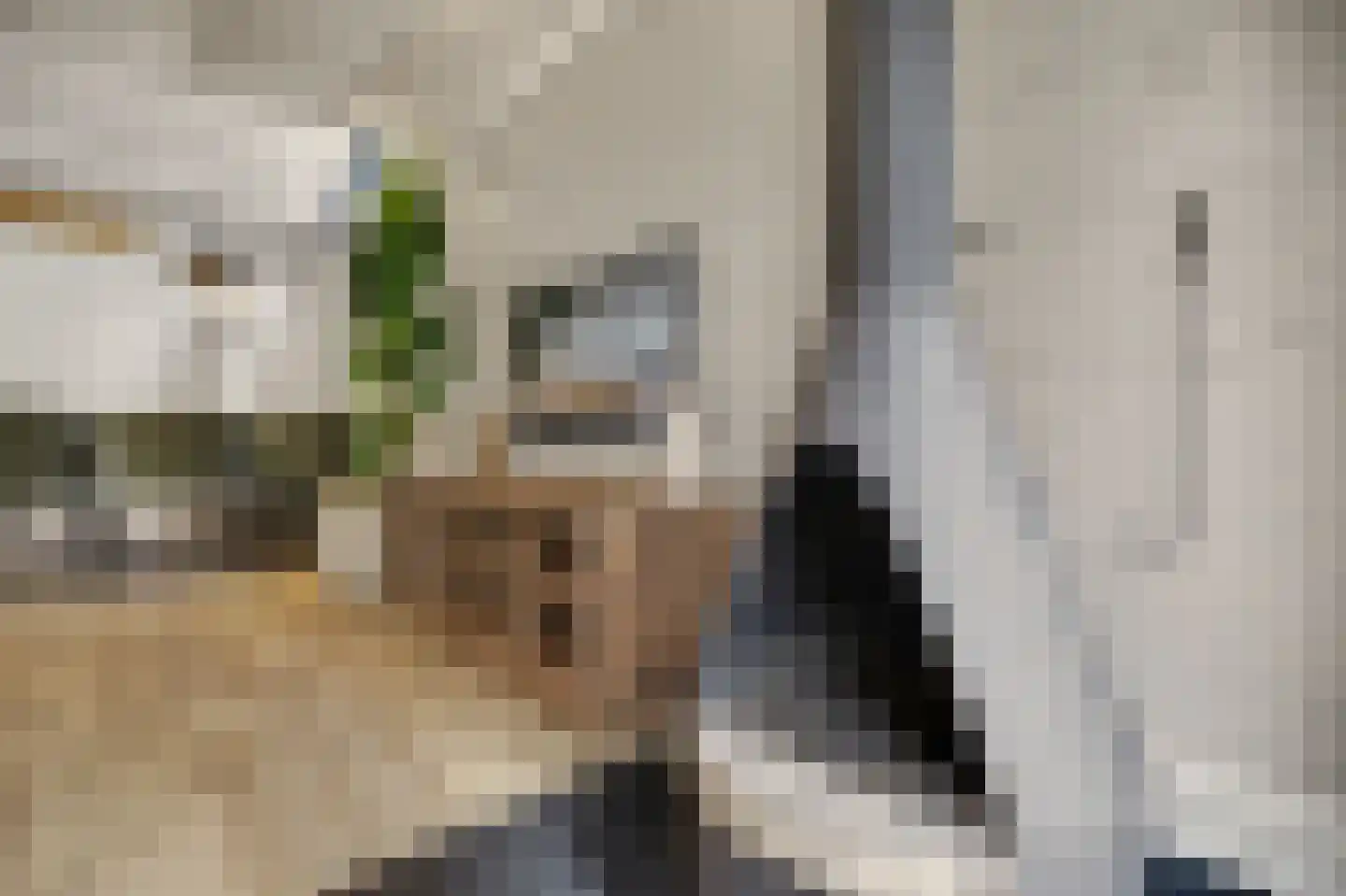 Vennenbos 507 Hapert thumbnail 9