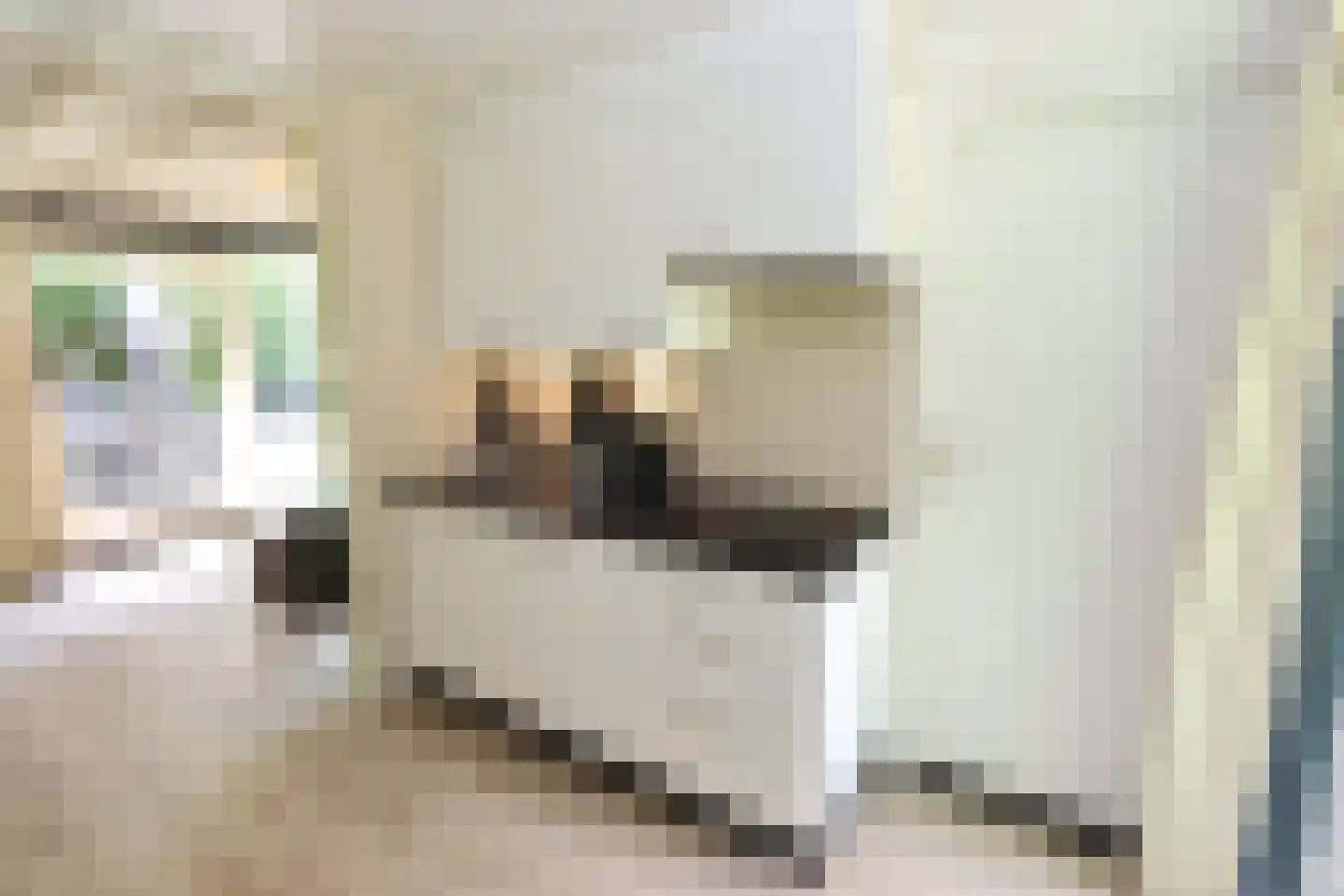 Vennenbos 615 Hapert thumbnail 11