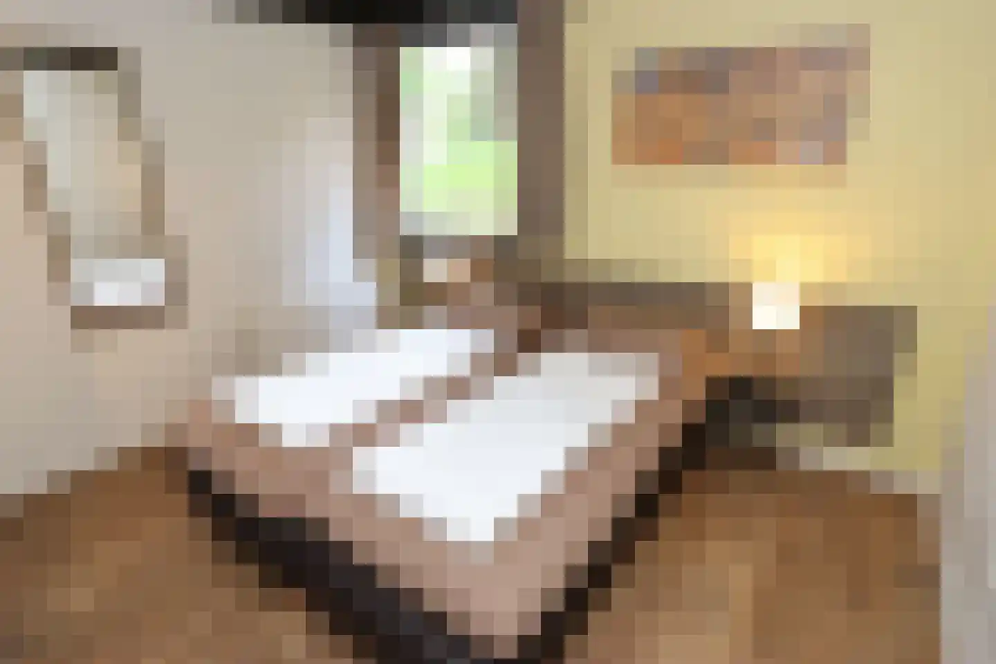 Vennenbos 615 Hapert thumbnail 12