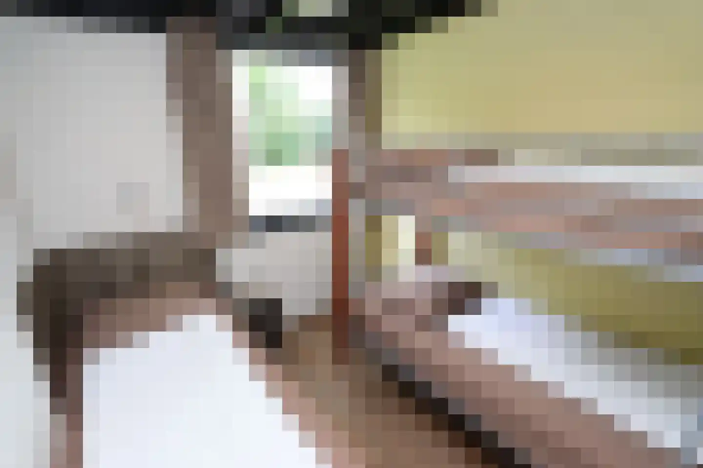 Vennenbos 615 Hapert thumbnail 13