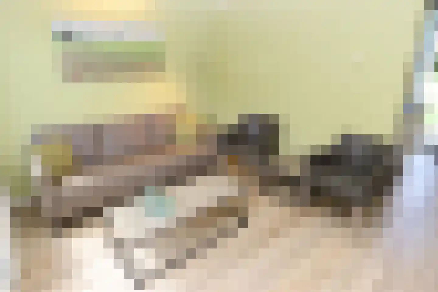 Vennenbos 615 Hapert thumbnail 7