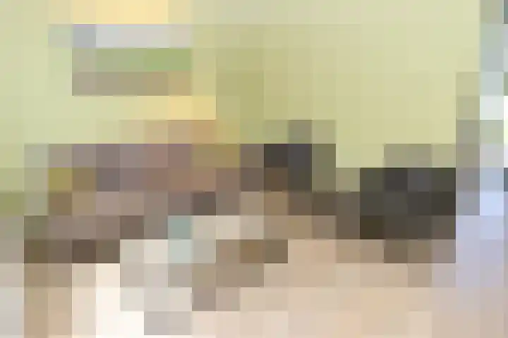 Vennenbos 639 Hapert thumbnail 5