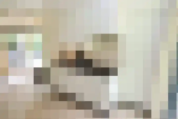 Vennenbos 639 Hapert thumbnail 9