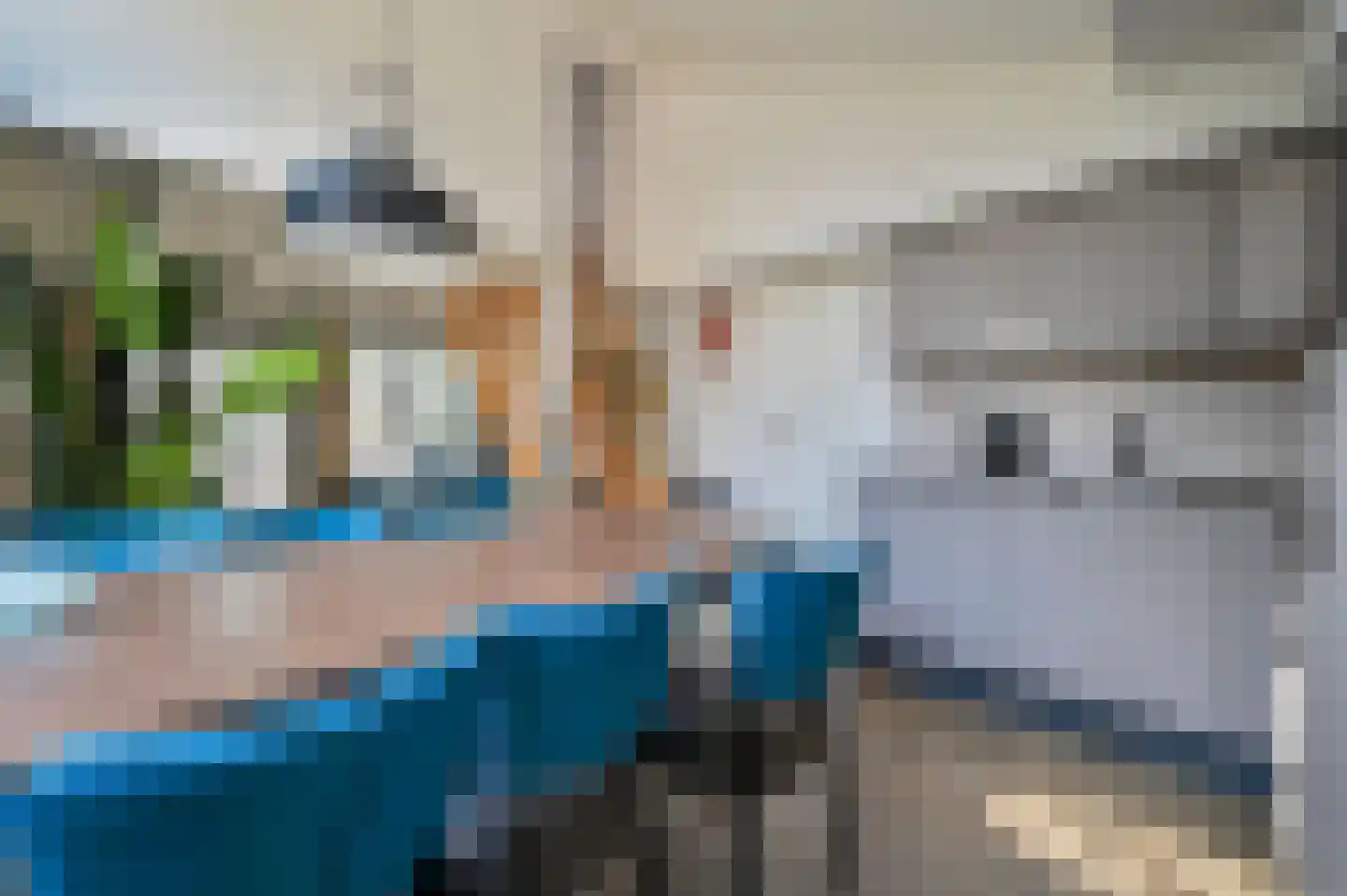 Vennenbos 661 Hapert thumbnail 10