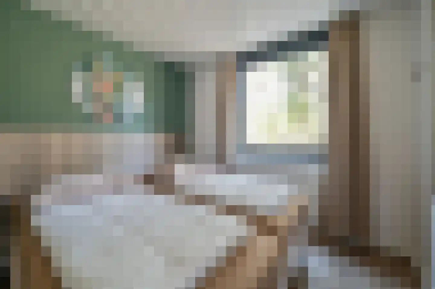 Vennenbos 661 Hapert thumbnail 14