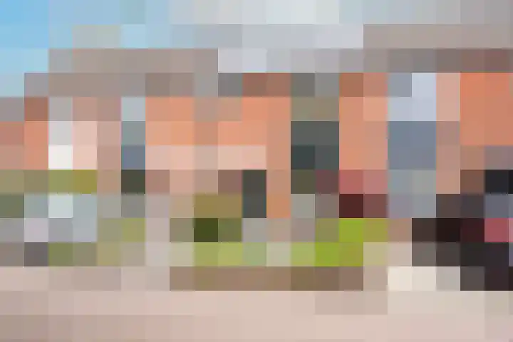 Vennenbos 661 Hapert thumbnail 18