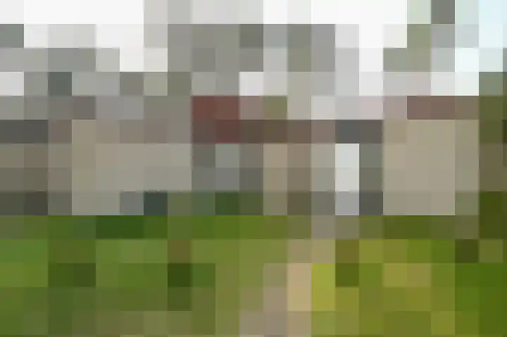 Vennenbos 661 Hapert foto 2