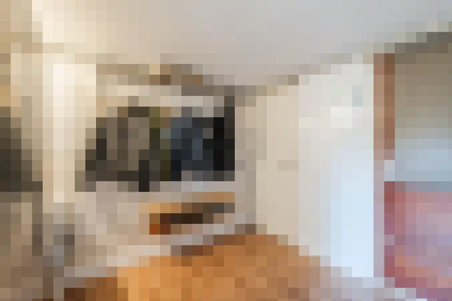 Vennenbos 661 Hapert thumbnail 28