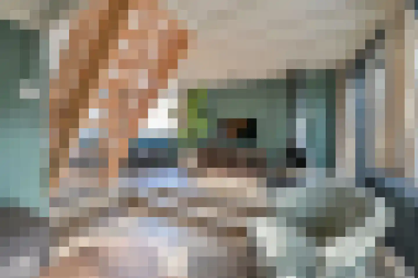 Vennenbos 661 Hapert thumbnail 6