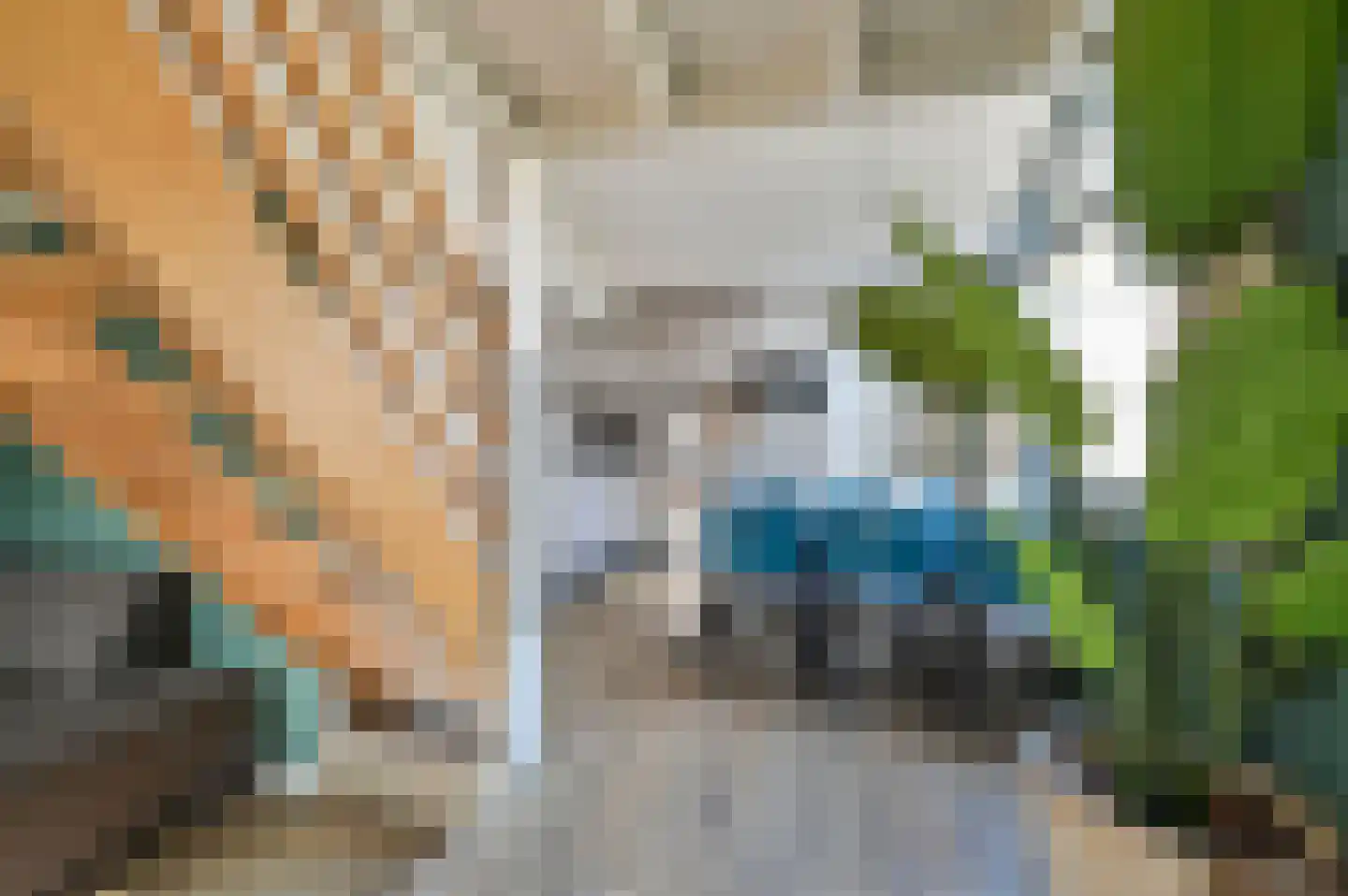 Vennenbos 661 Hapert thumbnail 7