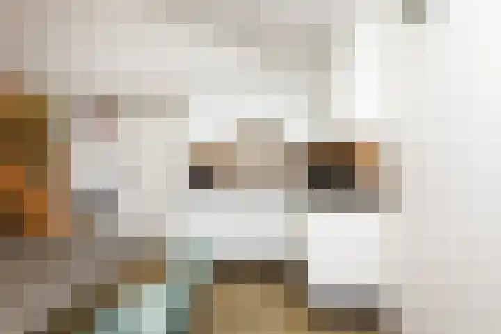 Vennenbos 822 Hapert thumbnail 12