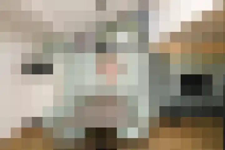 Vennenbos 822 Hapert thumbnail 13