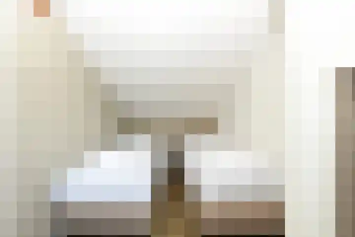 Vennenbos 822 Hapert thumbnail 23