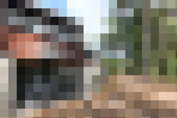 Vennenbos 822 Hapert thumbnail 26