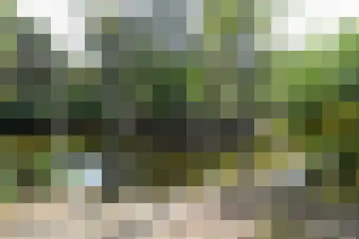 Vennenbos 822 Hapert thumbnail 27