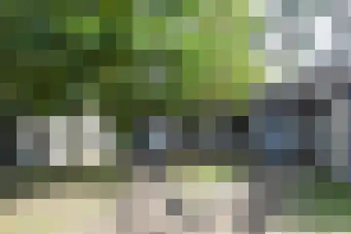 Vennenbos 822 Hapert thumbnail 5