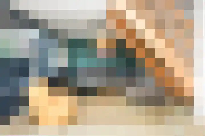 Vennenbos 822 Hapert thumbnail 6