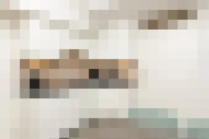 Vennenbos 822 Hapert thumbnail 9