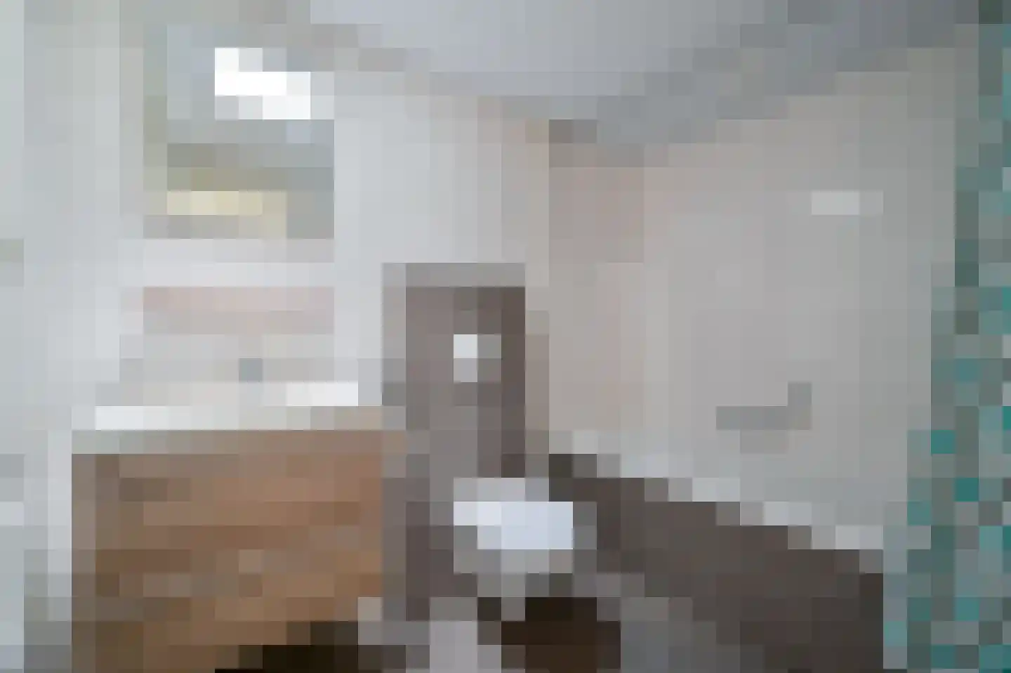 Vennenbos 848 Hapert thumbnail 12