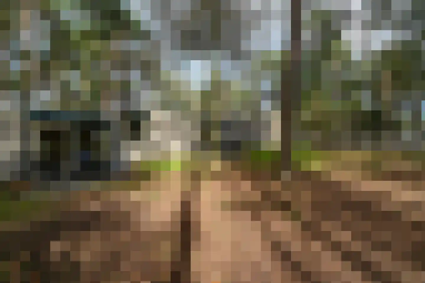 Vennenbos 848 Hapert thumbnail 15