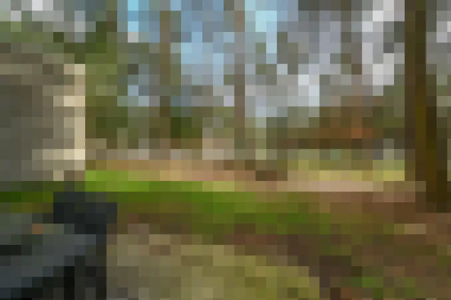 Vennenbos 848 Hapert thumbnail 16