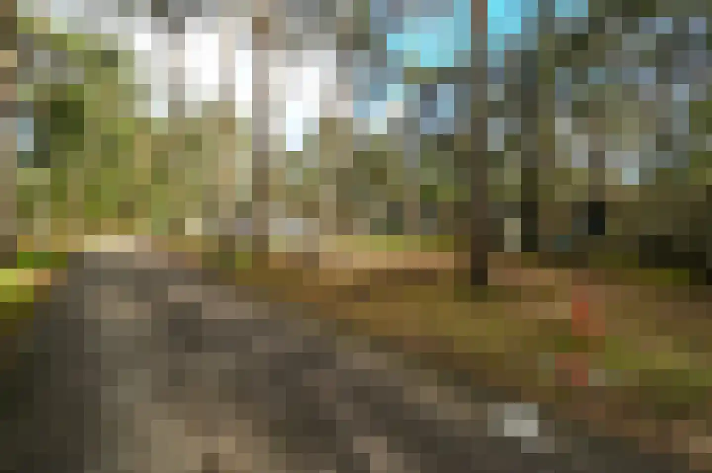 Vennenbos 848 Hapert thumbnail 17