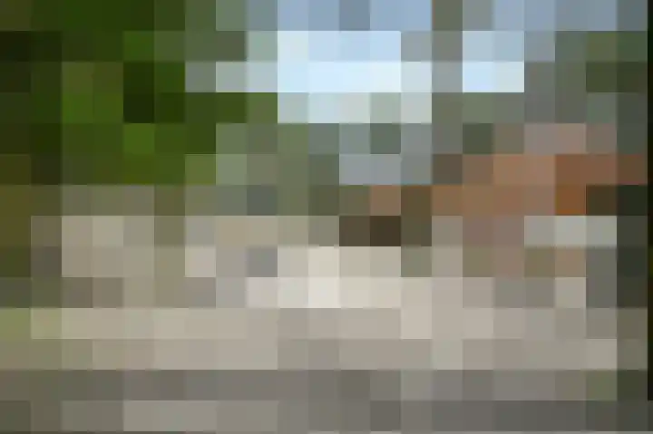 Vennenbos 848 Hapert thumbnail 18