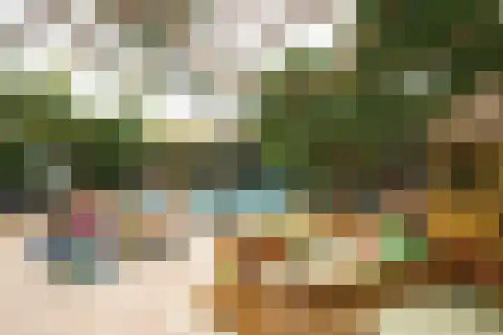 Vennenbos 848 Hapert thumbnail 24