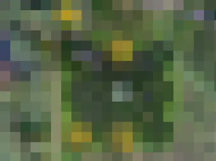 Vennenbos 848 Hapert thumbnail 25