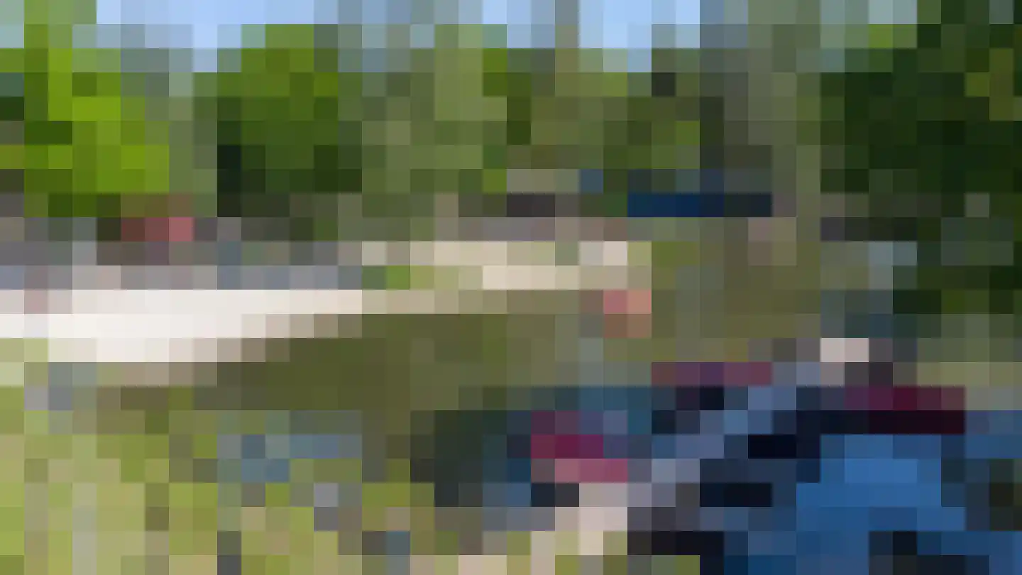 Vennenbos 848 Hapert thumbnail 26