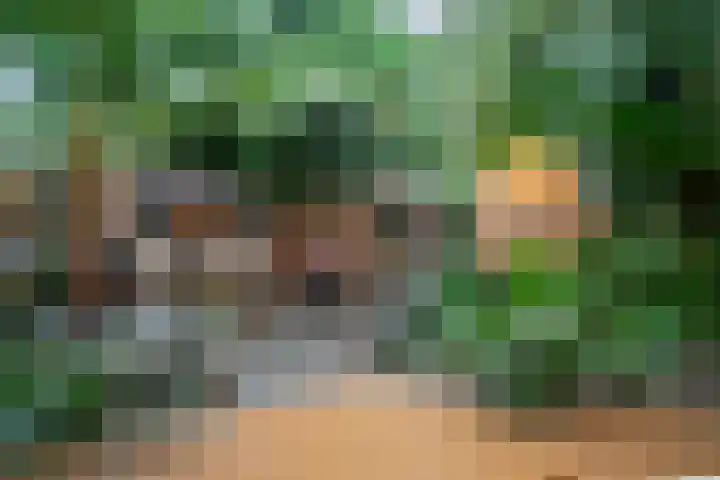 Vennenbos 848 Hapert thumbnail 27