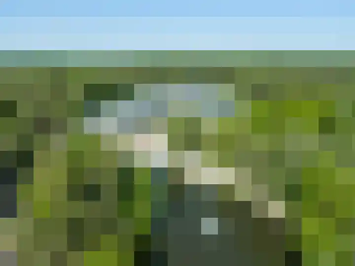 Vennenbos 848 Hapert thumbnail 28