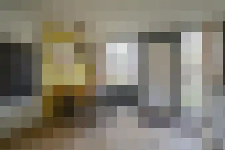 Vennenbos 848 Hapert thumbnail 6