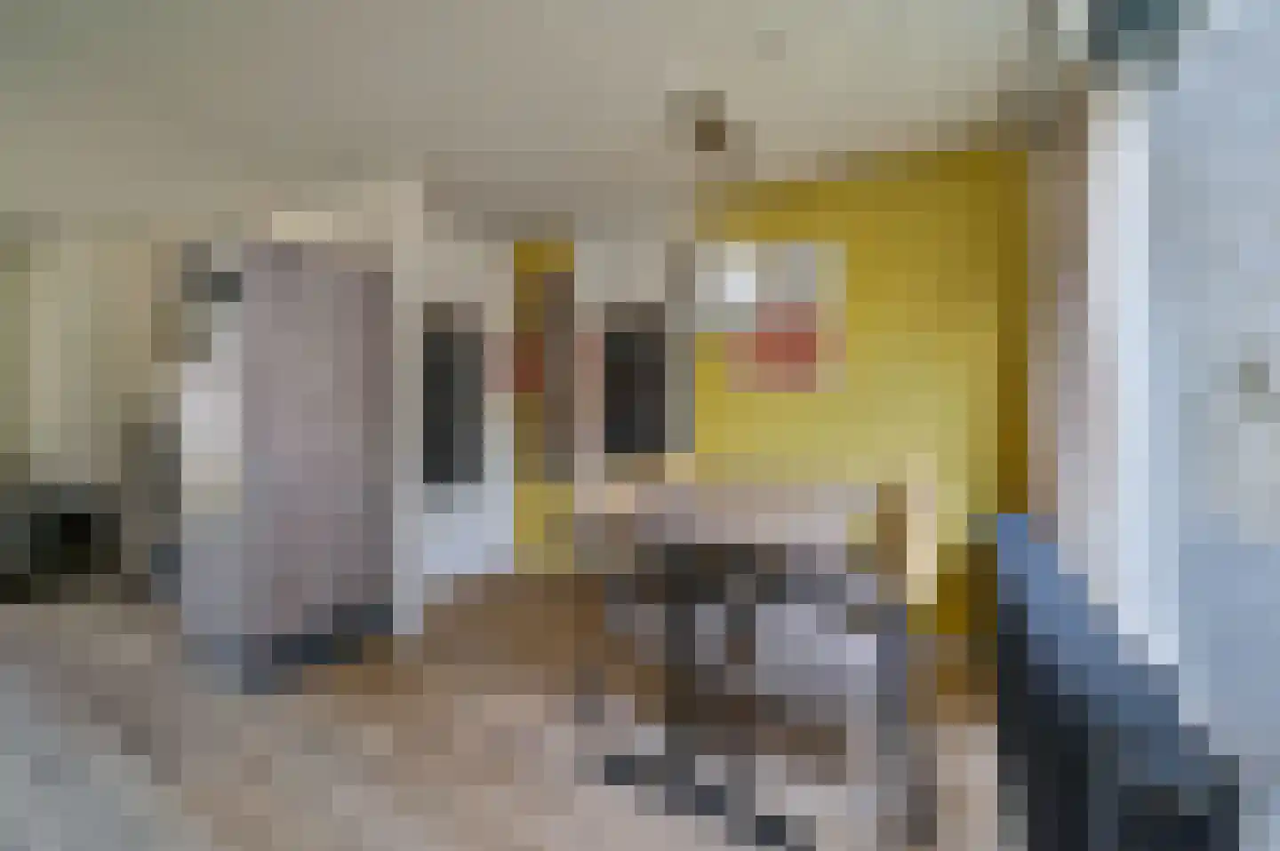 Vennenbos 848 Hapert thumbnail 9