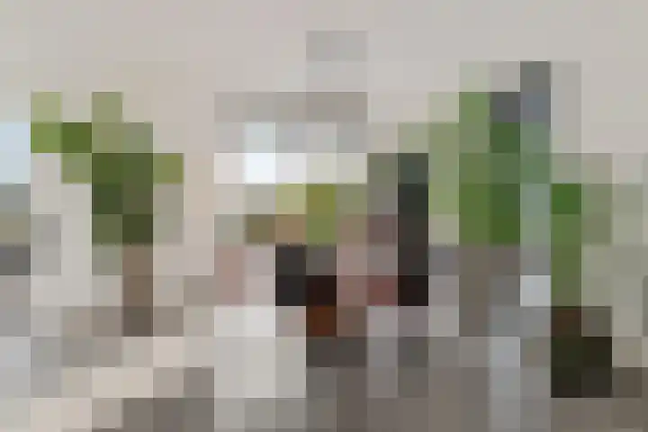Vennendal 12 Lelystad thumbnail 12