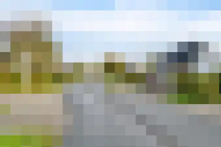 Vennendal 12 Lelystad thumbnail 45