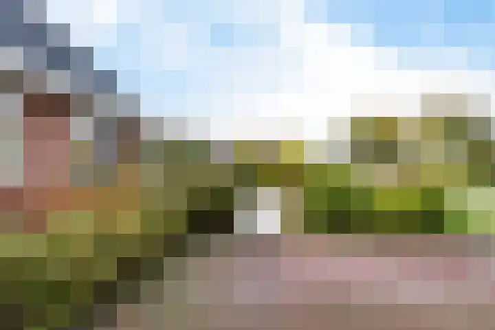 Vennendal 12 Lelystad thumbnail 47