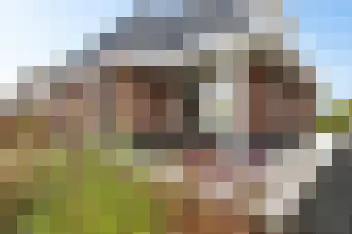 Vennendal 12 Lelystad thumbnail 48