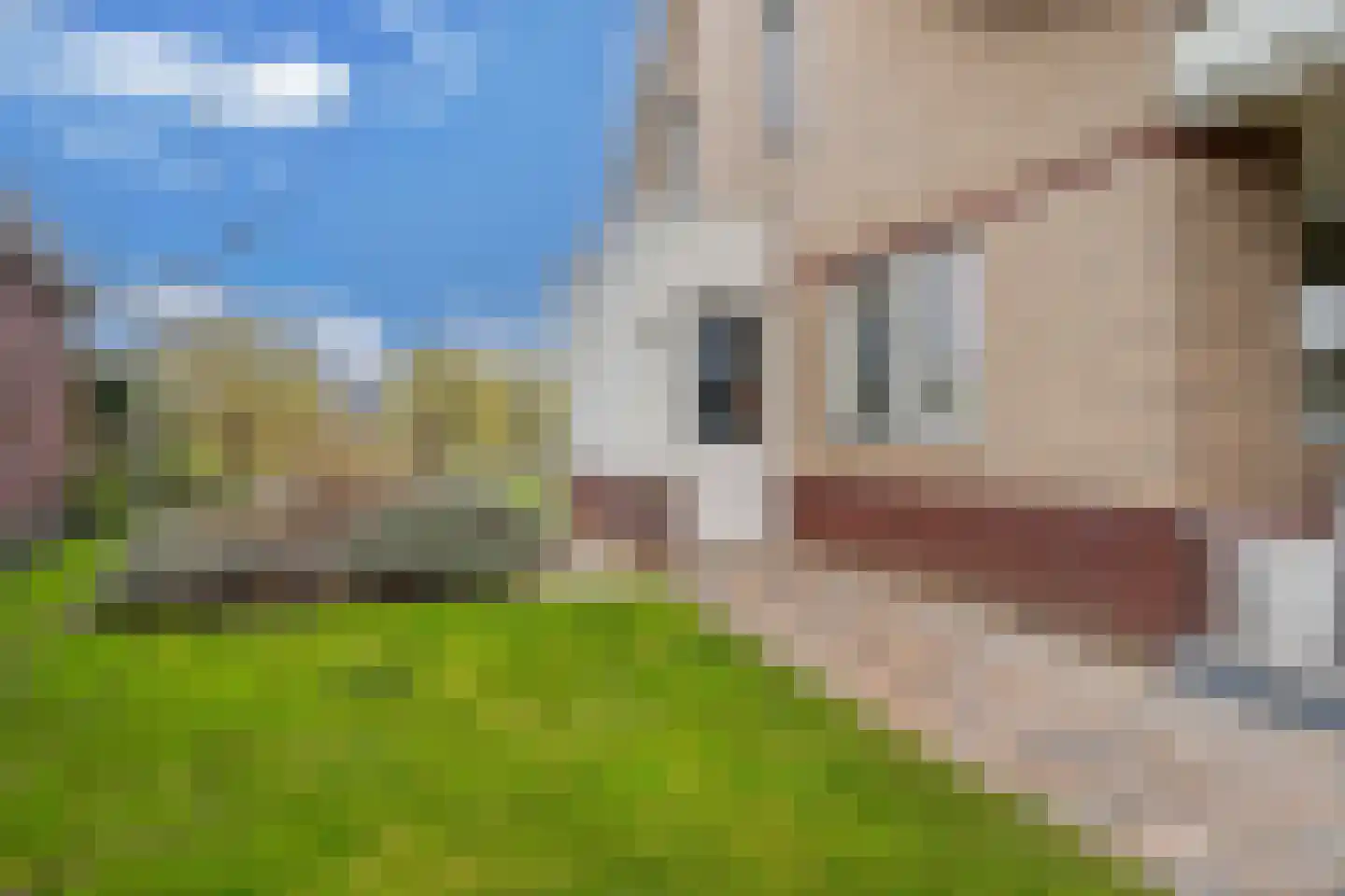 Vennendal 55 Lelystad thumbnail 60