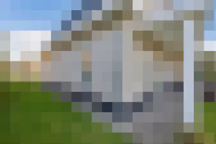 Vennendal 57 Lelystad thumbnail 39