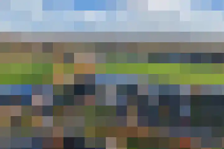Vennendal 57 Lelystad thumbnail 4