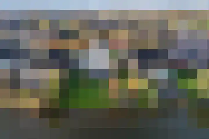 Vennendal 57 Lelystad thumbnail 41