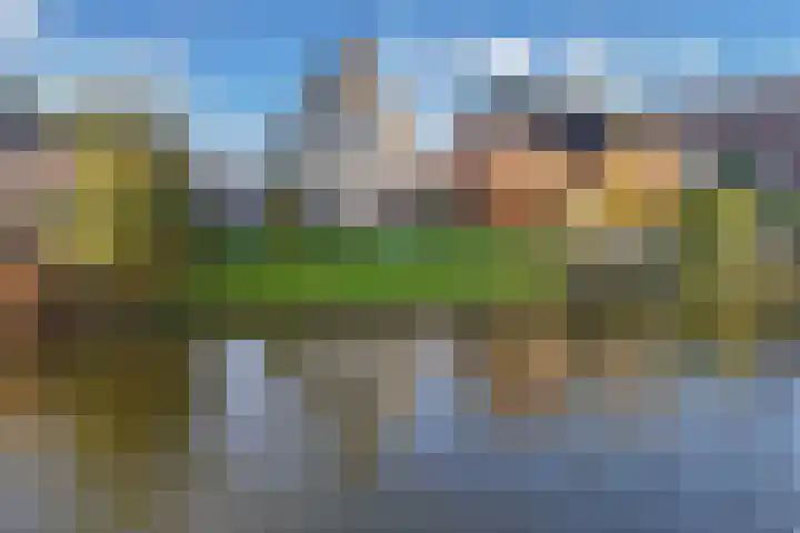Vennendal 57 Lelystad thumbnail 43