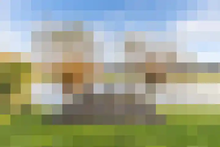 Vennendal 57 Lelystad thumbnail 51