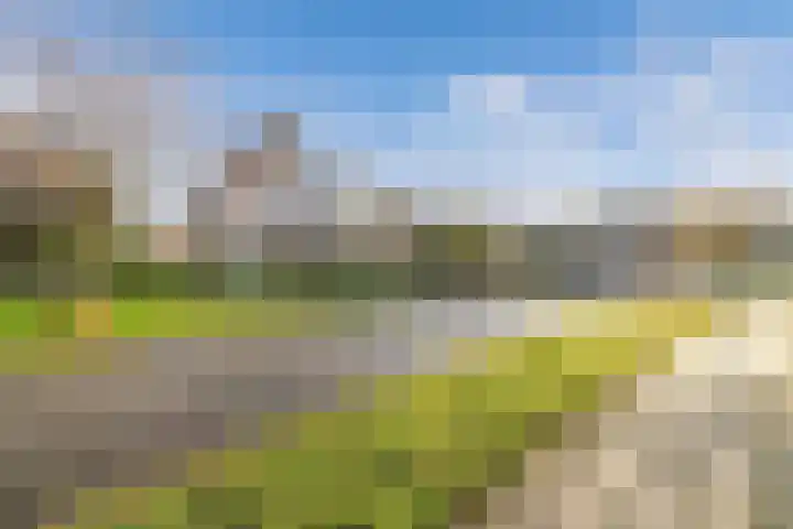 Vennendal 57 Lelystad thumbnail 6