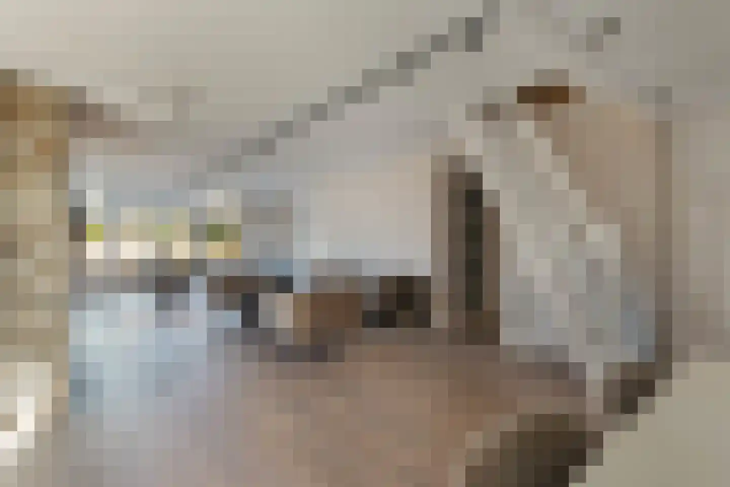 Vennendal 84 Lelystad thumbnail 14