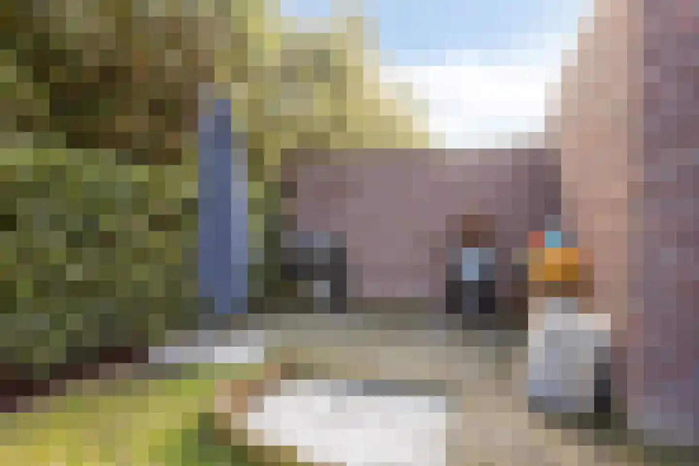 Vennenhof 33 Gastel thumbnail 41