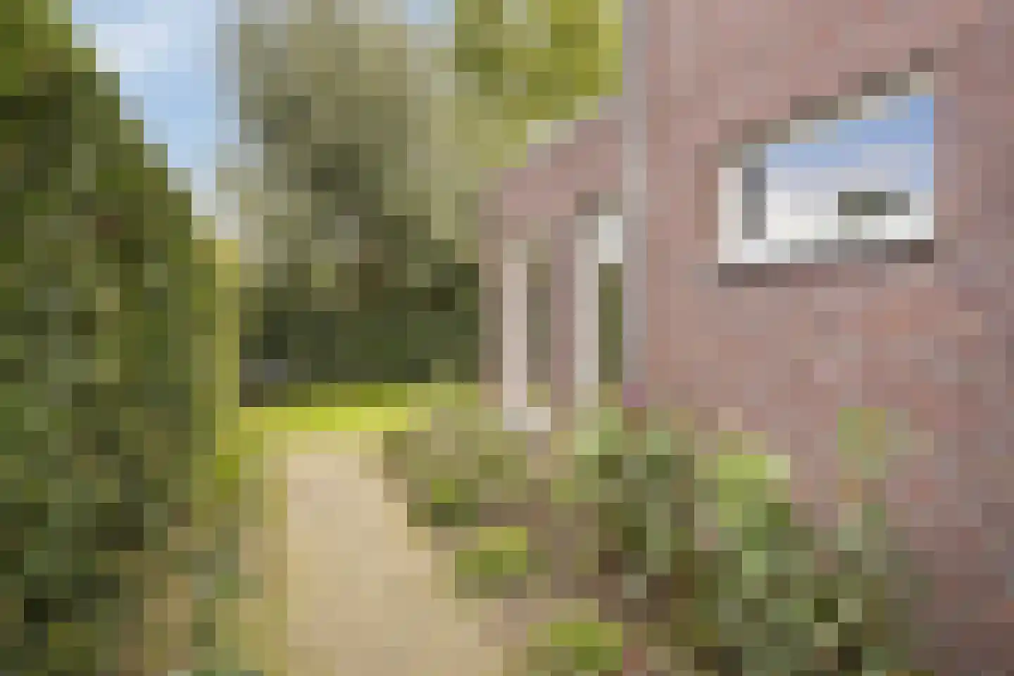 Vennenhof 33 Gastel thumbnail 43
