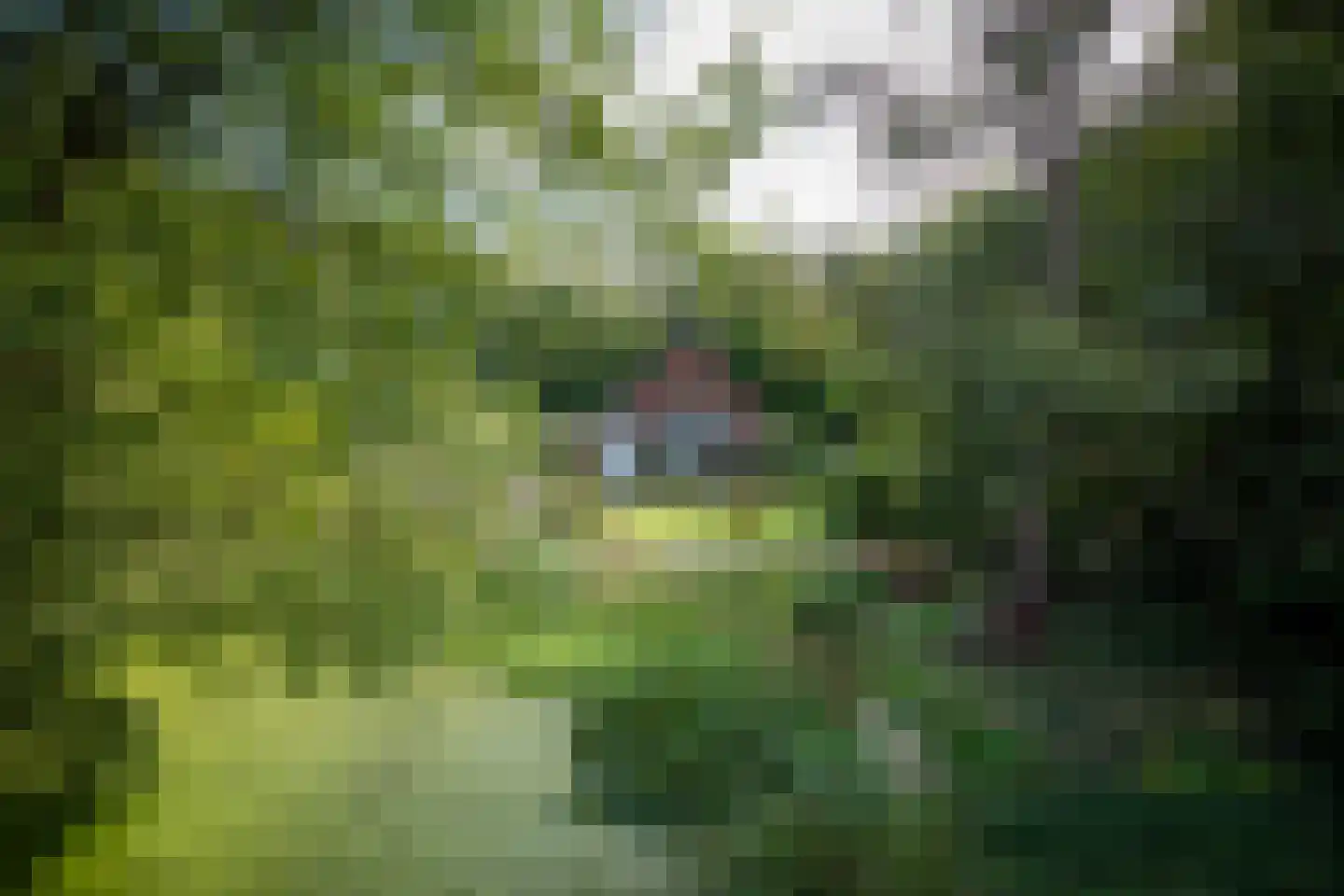 Vennenlaan 4 Doetinchem thumbnail 30