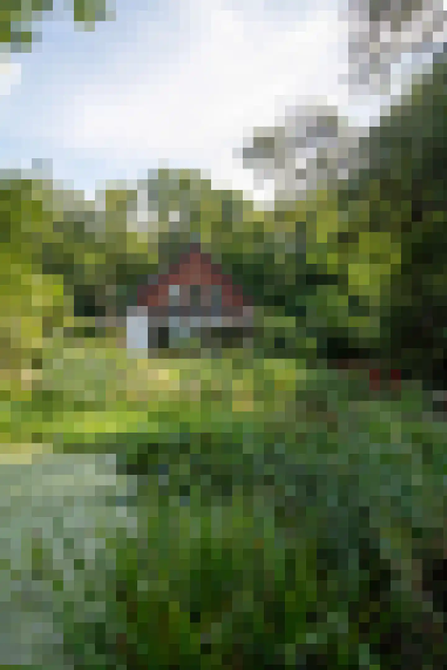 Vennenlaan 4 Doetinchem thumbnail 31